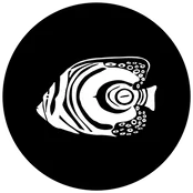 Oevaali Art Shop